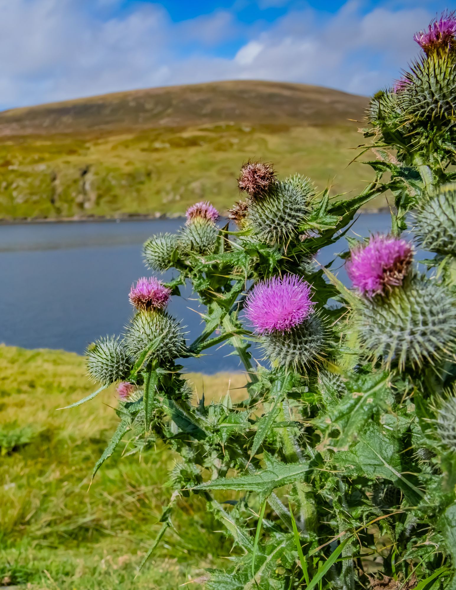 Nel Cuore della Scozia